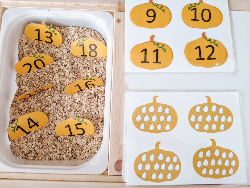 Fun Fall learning activity. Pumpkin Patch Number Match activity for practicing counting to 20. Pumpkins cut out and placed in a sensory bin with oats. 