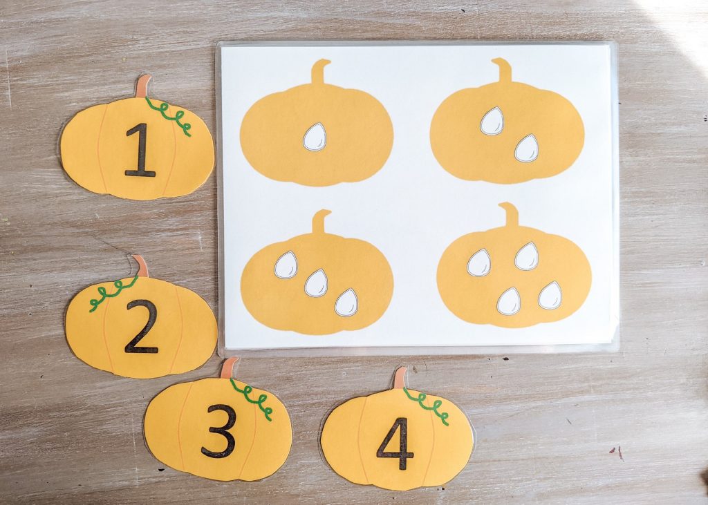 Pumpkin Patch Number Match activity cut and laminated. 